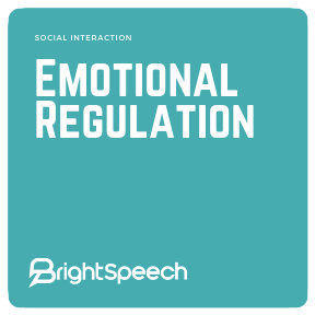 Social Interaction - Emotional Regulation - Zones of Regulation (Activity 2)