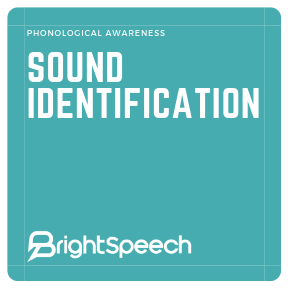Phonological Awareness - Sound Identification - Spinner Game (Activity 3)