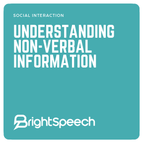 Social Interaction - Understanding Non-verbal Information -  Vocal expression (Activity 3)